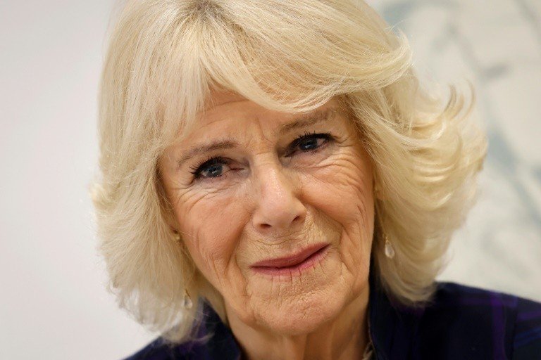 Camilla, esposa do príncipe charles, testa positivo para covid-19