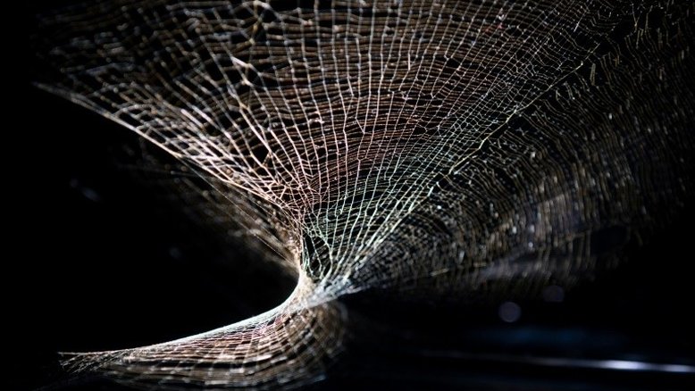 Artista argentino apresenta em Nova York obra sobre as aranhas para denunciar crise ambiental