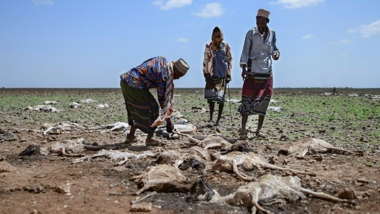 Treze milhões de pessoas enfrentam perigo de fome na região do Chifre da África