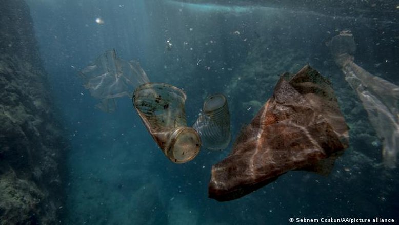 Poluição plástica afeta 88% das espécies marinhas, diz WWF