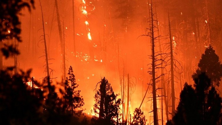 Grupo de especialistas da ONU volta a ressaltar luta contra a mudança climática