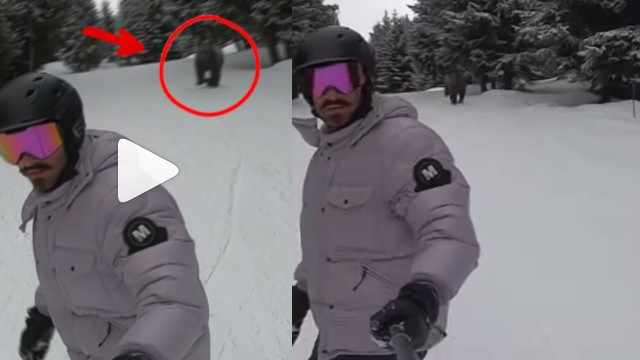 Vídeo mostra Alok sendo perseguido por urso na neve: 'Esse dia foi doido'