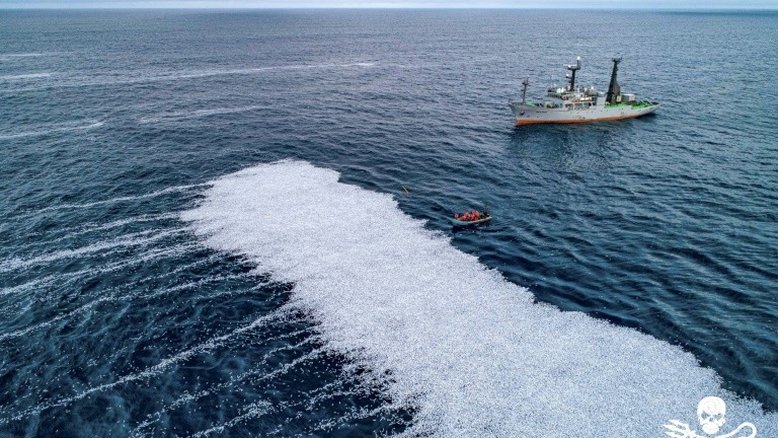 Especialistas confiam em avanço político para proteger oceanos em reunião na França