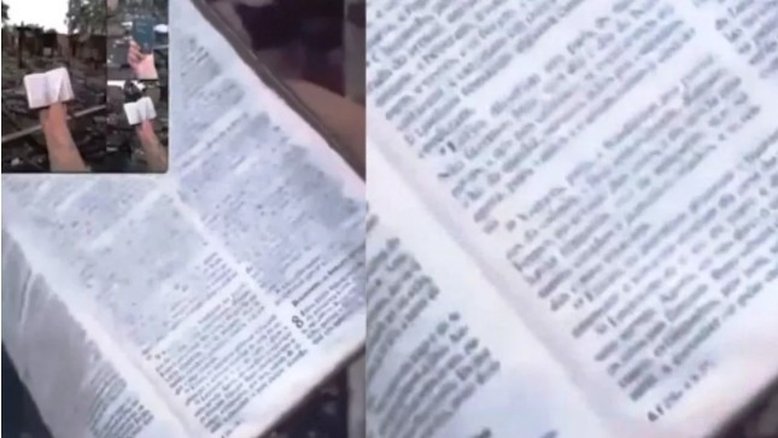 Reprodução