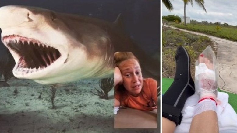 Reprodução/TikTok @wildwitchofthew3st