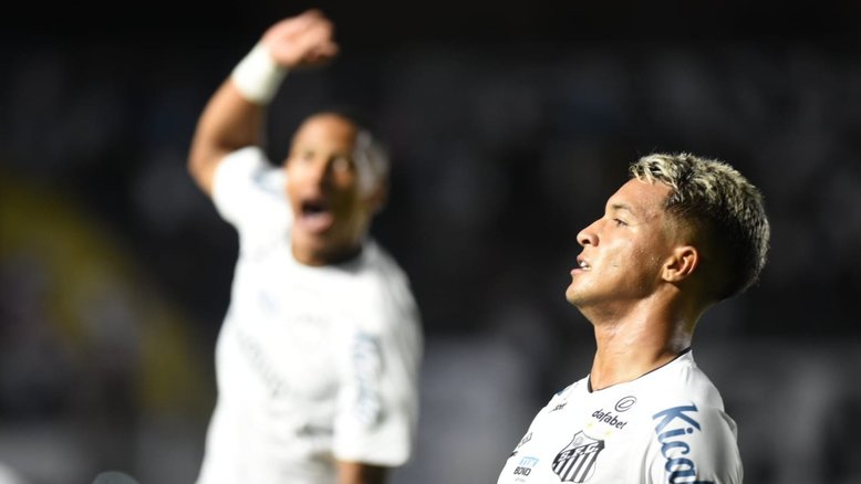 Twitter Santos