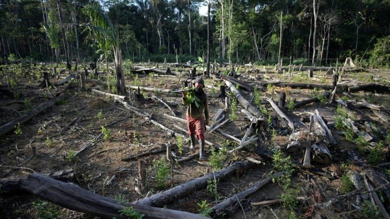 O desmatamento na Amazônia brasileira este ano pode superar a pior marca desde 2006 com mais de 15 mil quilômetros quadrados depredados - AFP