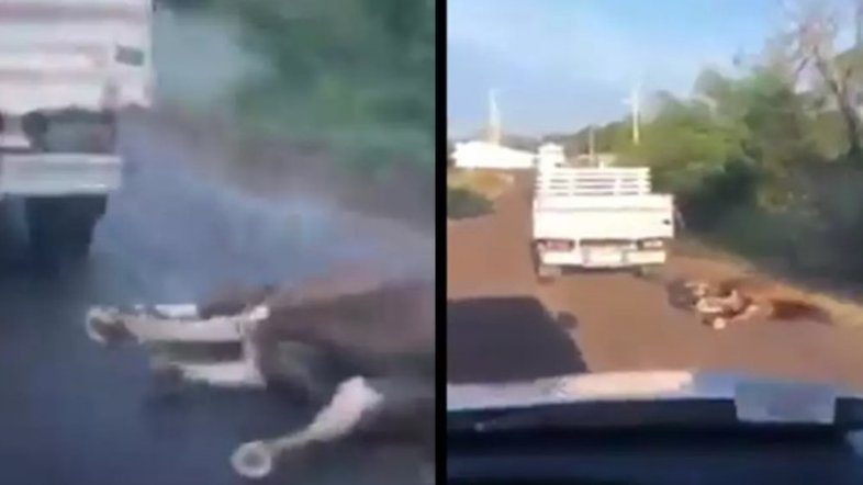 Reprodução/Redes sociais