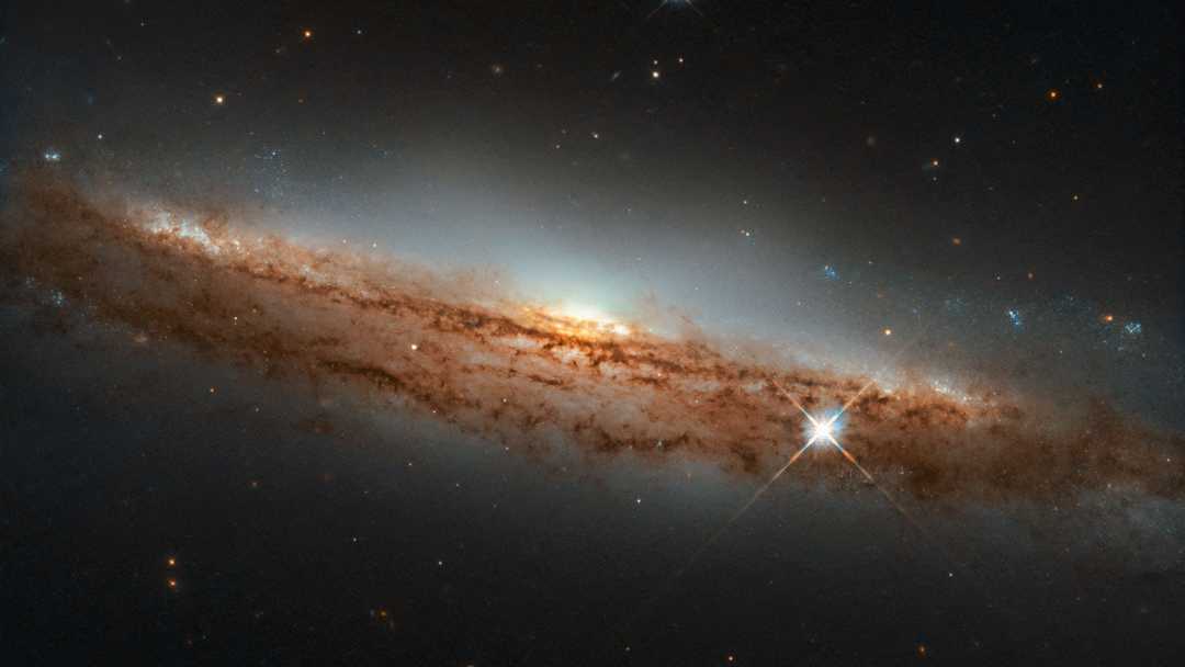 A maioria das estrelas brilhantes em galáxias espirais giram em torno do centro em um disco. Visto de lado, esse disco pode parecer bastante fino. É o caso da galáxia NGC 3717, vista um pouco inclinada na imagem acima. A imagem apresentada pelo telescópio espacial Hubble mostra uma protuberância central de cor clara composta de estrelas mais velhas, além de filamentos de poeira marrom escura em órbita. NGC 3717 fica a cerca de 60 milhões de anos-luz de distância da Terra, na direção da Constelação de Hidra