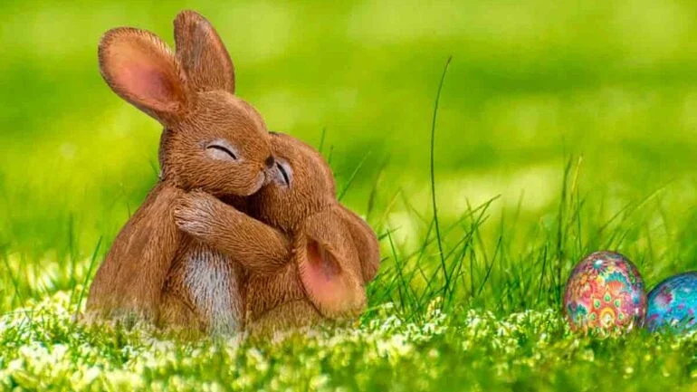 Coelhos e ovos de Páscoa: a associação com a data surgiu no século 17. Crédito: Piqsels