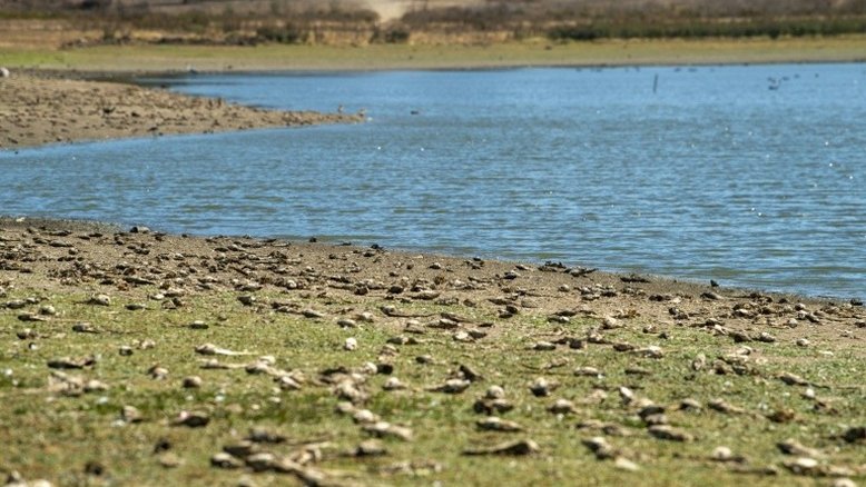 Chile anuncia plano de emergência ante possível racionamento de água