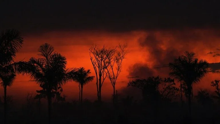 Desmatamento na Amazônia diminui em março, mas atinge recorde no primeiro trimestre do ano