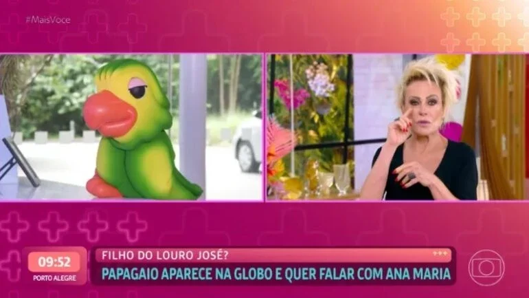 Ana Maria Braga chora no 