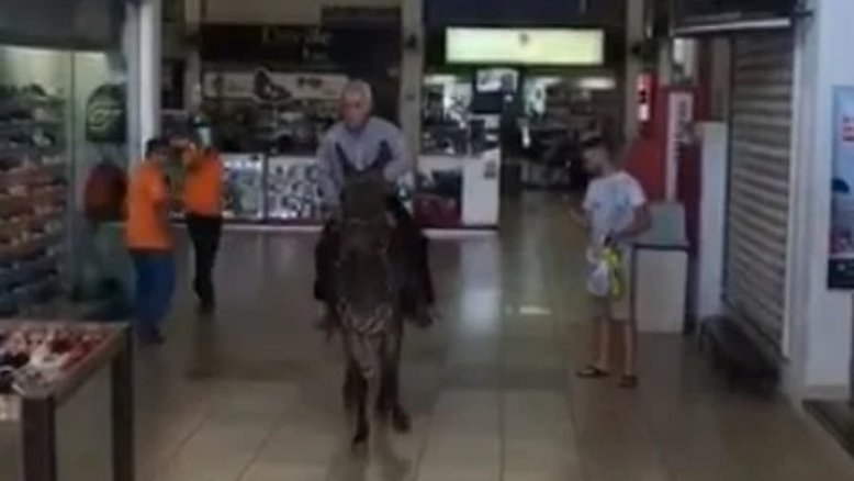 Reprodução