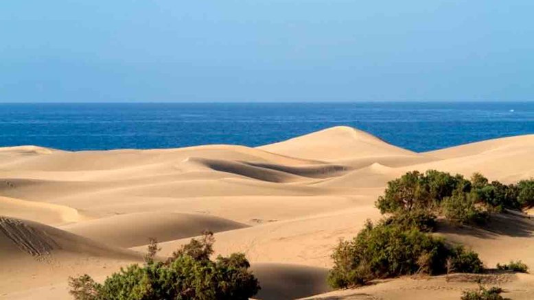 Dunas de Maspalomas: pontos de sexo escolhidos pelos turistas têm causado problemas consideráveis à biodiversidade. Crédito: kasabubu/Pixabay