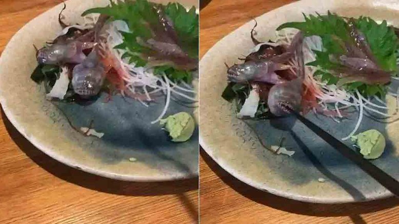 Vídeo: peixe vivo ataca palito de madeira em restaurante japonês