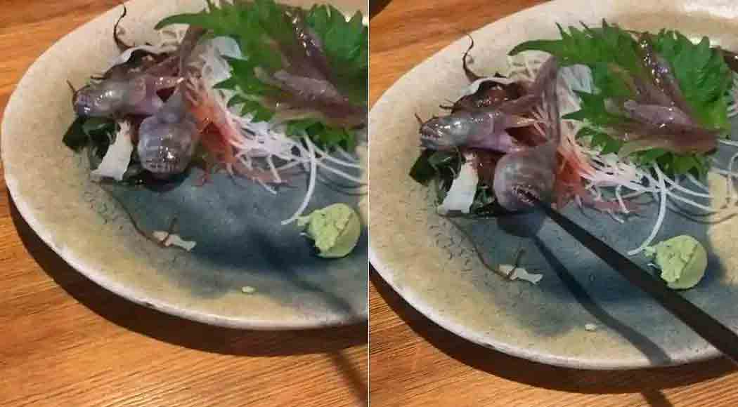 Vídeo: peixe vivo ataca palito de madeira em restaurante japonês