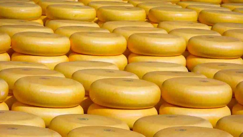 Ladrões roubam 600 kg de queijo avaliados em R$ 108 mil na Holanda