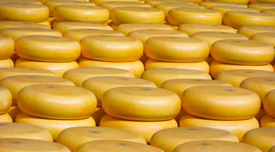 Ladrões roubam 600 kg de queijo avaliados em R$ 108 mil na Holanda