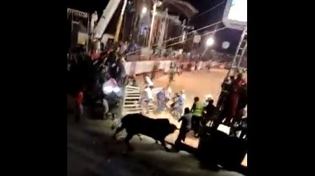 VÍDEO: Touro invade estádio, arrasta homem e persegue jogadores