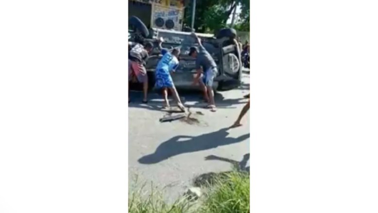 Reprodução