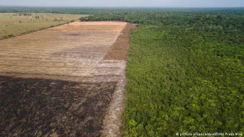 Dez anos de falhas e descumprimento do Código Florestal