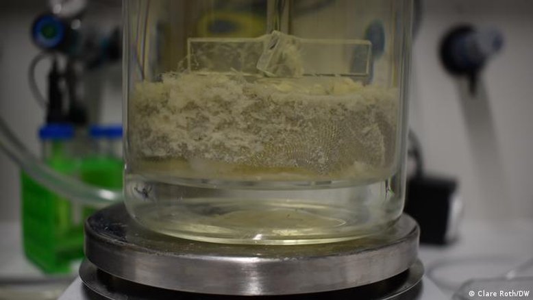 Descoberta enzima que decompõe plástico em menos de um dia