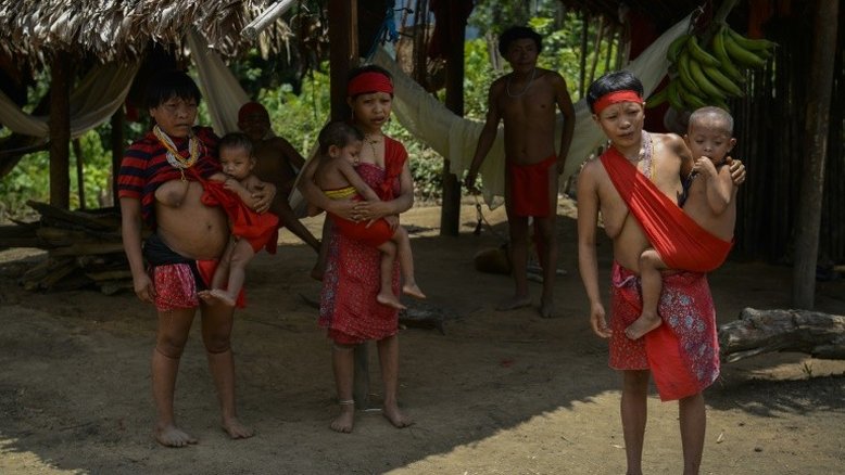 Terra Yanomami completa 30 anos com pouco a comemorar