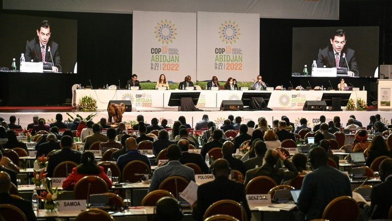 COP15 se compromete a recuperar bilhões de hectares degradados