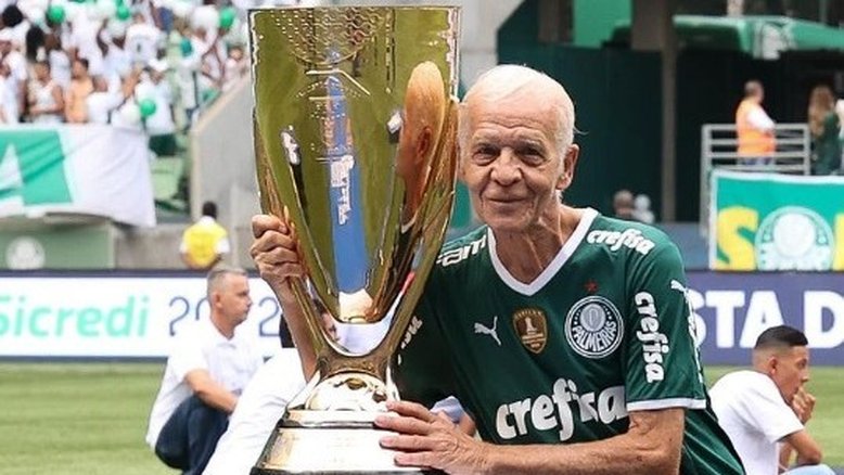 Cesar Greco/Palmeiras