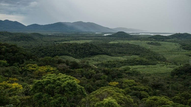 Exposição sensorial sobre a Mata Atlântica permite sentir a floresta