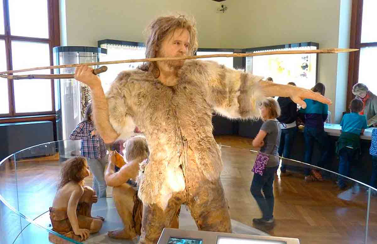 Reconstituição de Homo sapiens antigo no Museu de História Natural de Viena: tamanho do corpo influenciado pelo clima. Crédito: Wolfgang Sauber/Wikimedia Commons