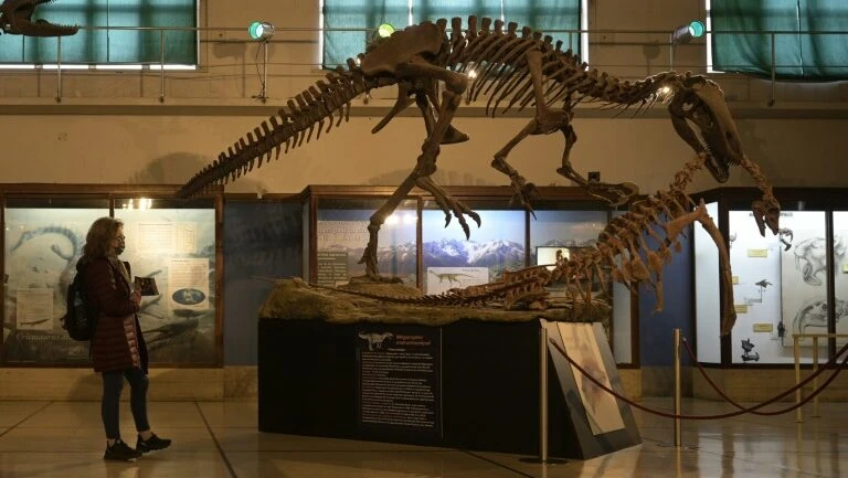 Fóssil de maior megaraptor conhecido é descoberto no sul da Argentina