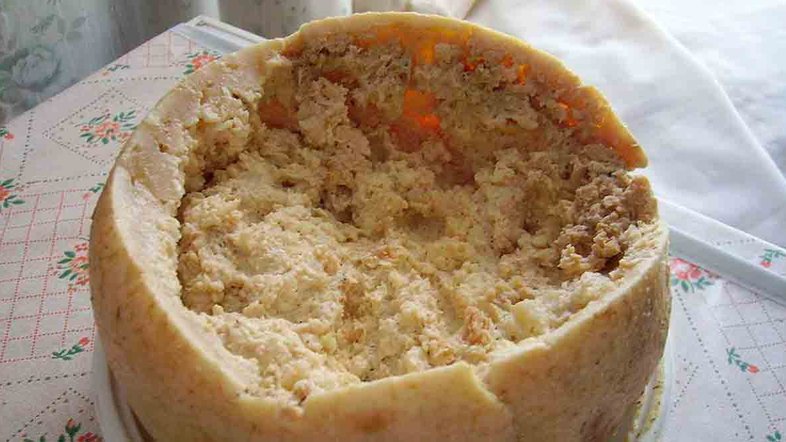 Casu marzu: queijo feito com larvas é considerado o mais perigoso do mundo (Foto: Wikimedia Commons)