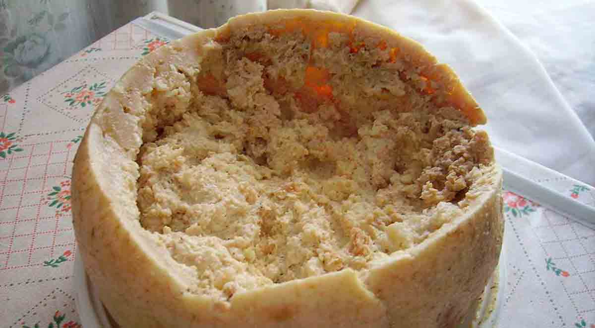 Casu marzu: queijo feito com larvas é considerado o mais perigoso do mundo (Foto: Wikimedia Commons)