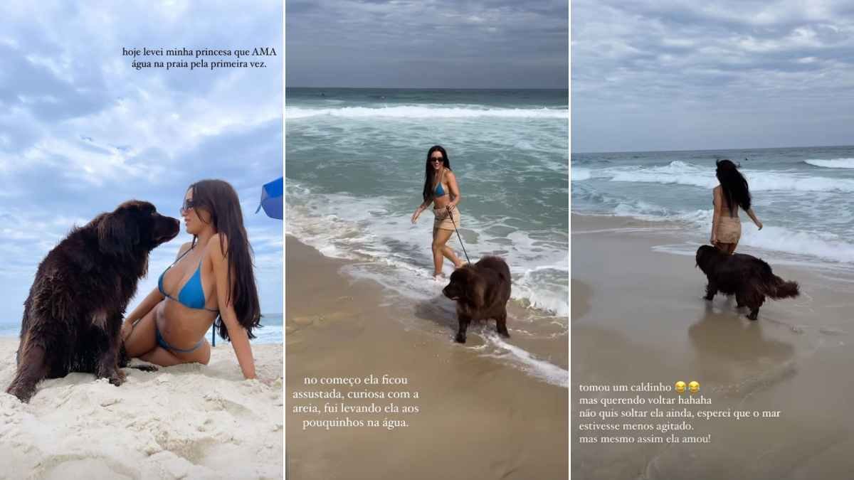 Rafa Kalimann leva sua cachorra, Angel, à praia pela primeira vez: 'Tomou um caldo' 2 Rafa Kalimann leva sua cachorra, Angel à praia pela primeira vez: 'Tomou um caldo'
