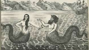 Sereia e tritão, em ilustração anônima russa do século 19. Crédito: New York Public Library/Wikimedia Commons