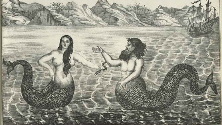 Sereia e tritão, em ilustração anônima russa do século 19. Crédito: New York Public Library/Wikimedia Commons