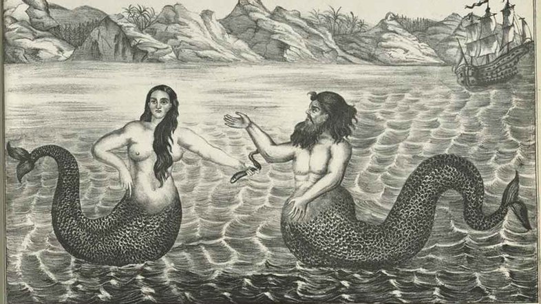 Sereia e tritão, em ilustração anônima russa do século 19. Crédito: New York Public Library/Wikimedia Commons