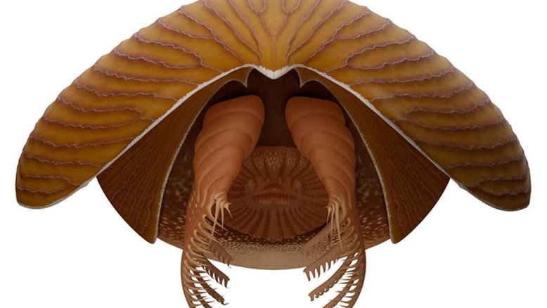 Concepção artística de vista frontal do Titanokorys gainesi: gigante para sua época. Crédito: Lars Fields, © Royal Ontario Museum