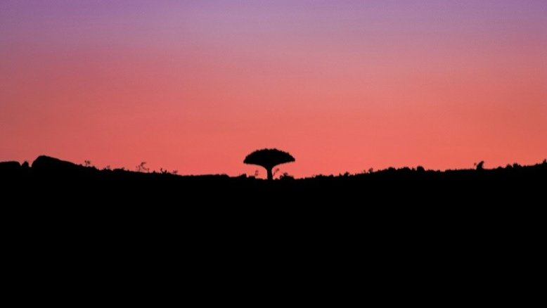 Negociação internacional para acordo de proteção da natureza começa no Quênia
