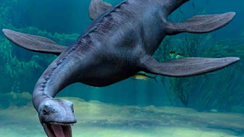 Plesiossauro: modo de nadar intrigava os cientistas há muito tempo. Crédito: NPS