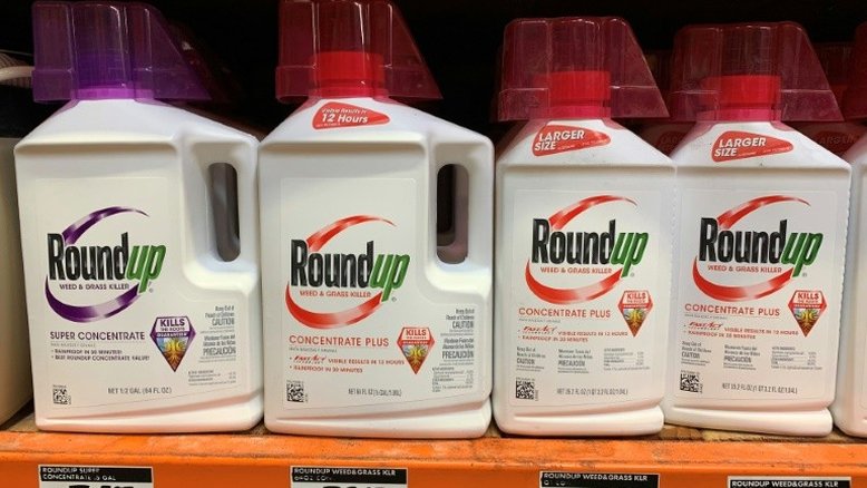 Suprema Corte dos EUA confirma condenação por herbicida Roundup da Bayer