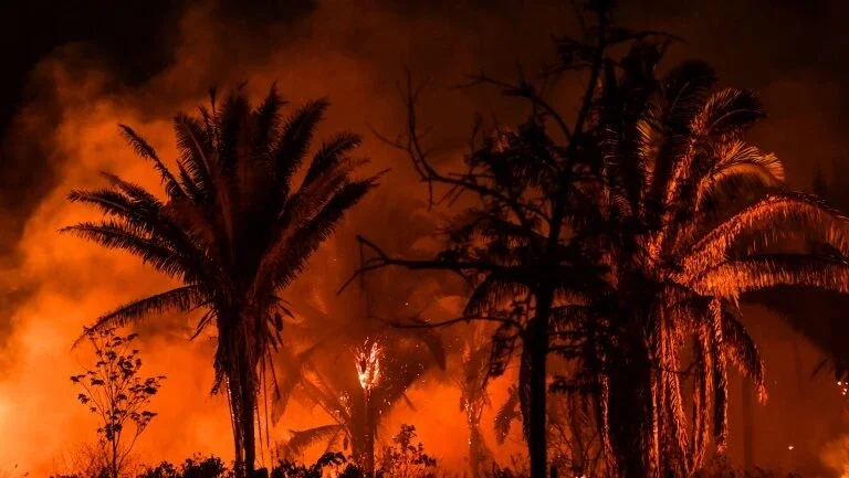 Incêndios crescem em maio na Amazônia brasileira e batem recorde no Cerrado