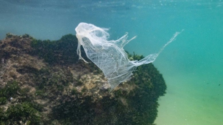 ONU alerta que o mundo enfrenta "emergência" nos oceanos
