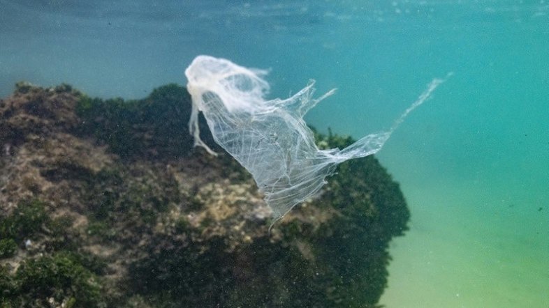 ONU alerta que o mundo enfrenta "emergência" nos oceanos