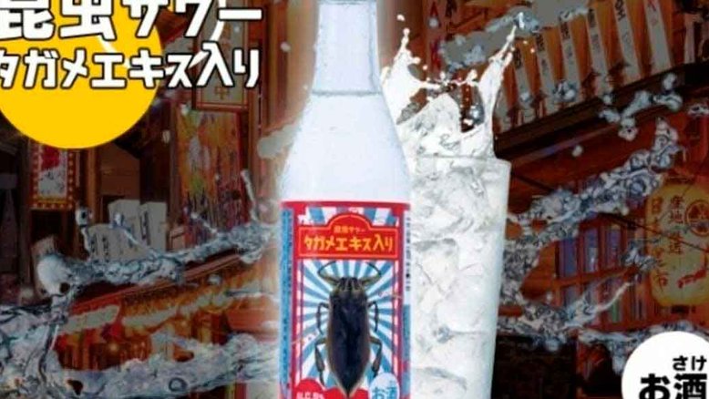 Cerveja japonesa é feita com extrato de barata aquática gigante (Foto: Reprodução)