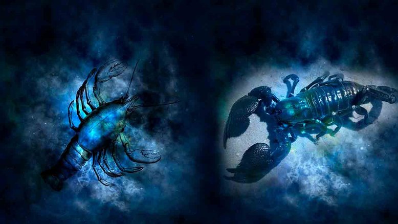 Combinação de signos – Câncer e Escorpião . Foto: Pixabay