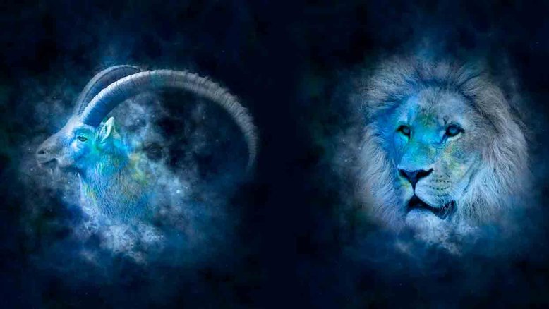 Combinação de signos – Capricórnio e Leão. Foto: Pixabay