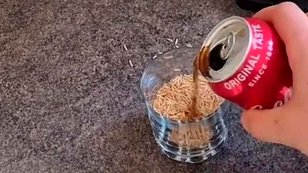 Técnica para cozinhar arroz com refrigerante viraliza nas redes sociais (Foto: Reprodução)